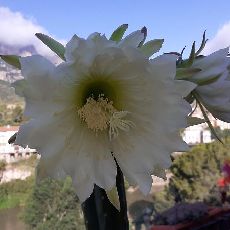 Piso Con Desayuno Incluido Y Vistas A La Montana. Apartment Monistrol de Montserrat Bagian luar foto