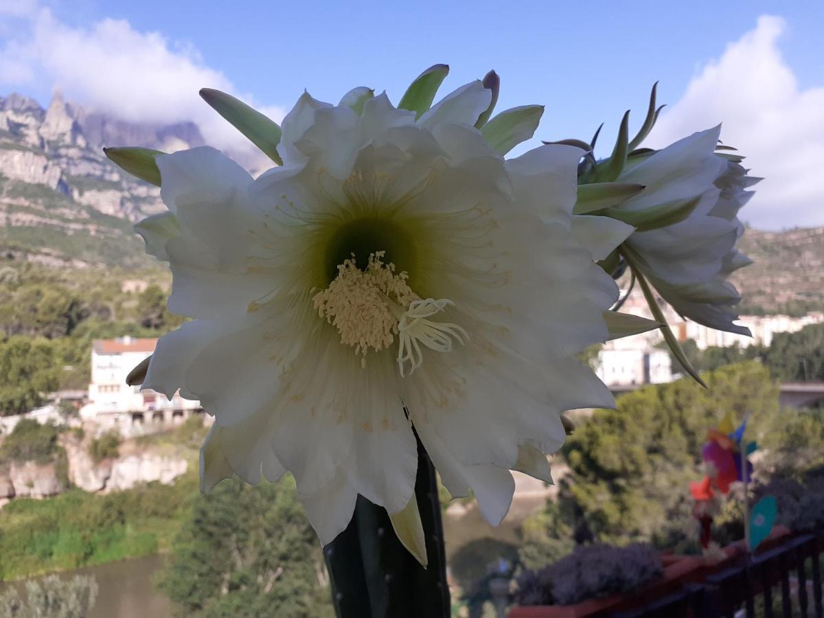 Piso Con Desayuno Incluido Y Vistas A La Montana. Apartment Monistrol de Montserrat Bagian luar foto